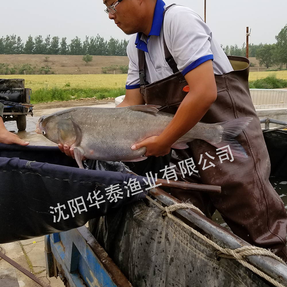 &#24320;&#20113;&#32593;&#39029;&#29256;