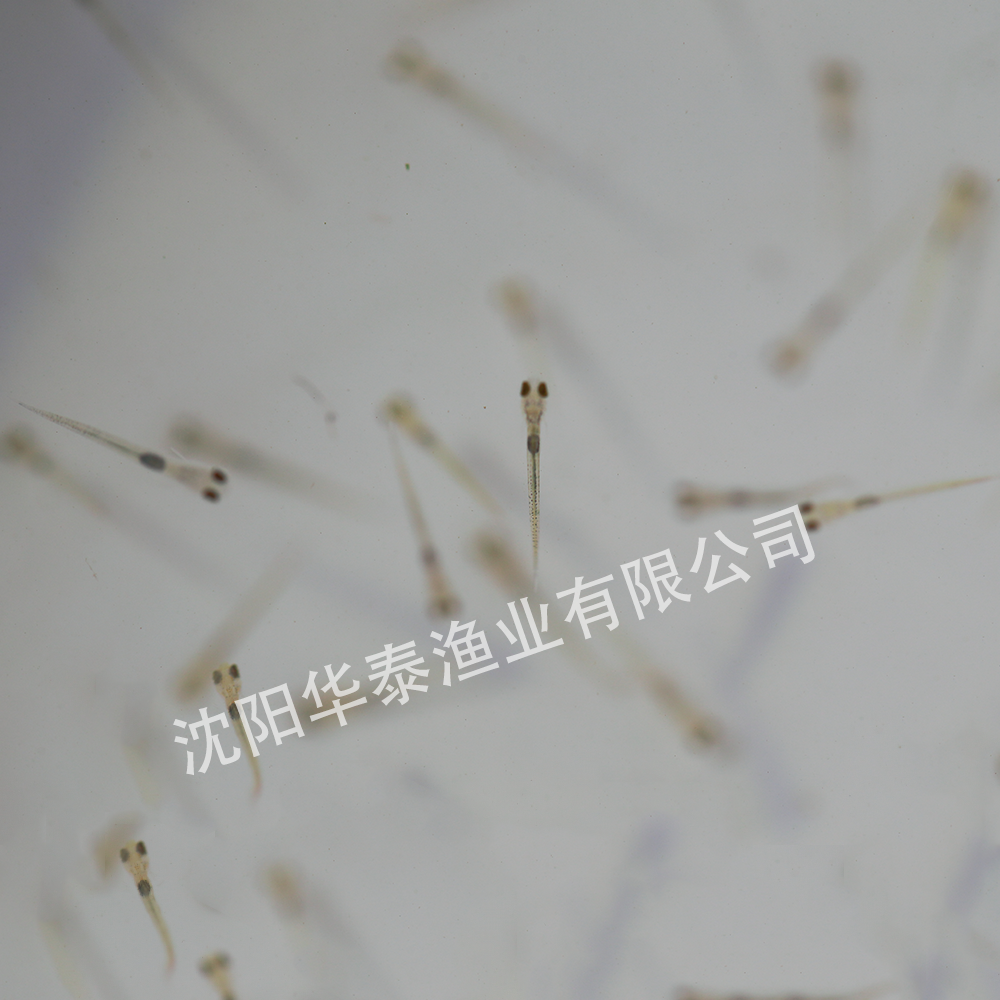 &#24320;&#20113;&#32593;&#39029;&#29256;